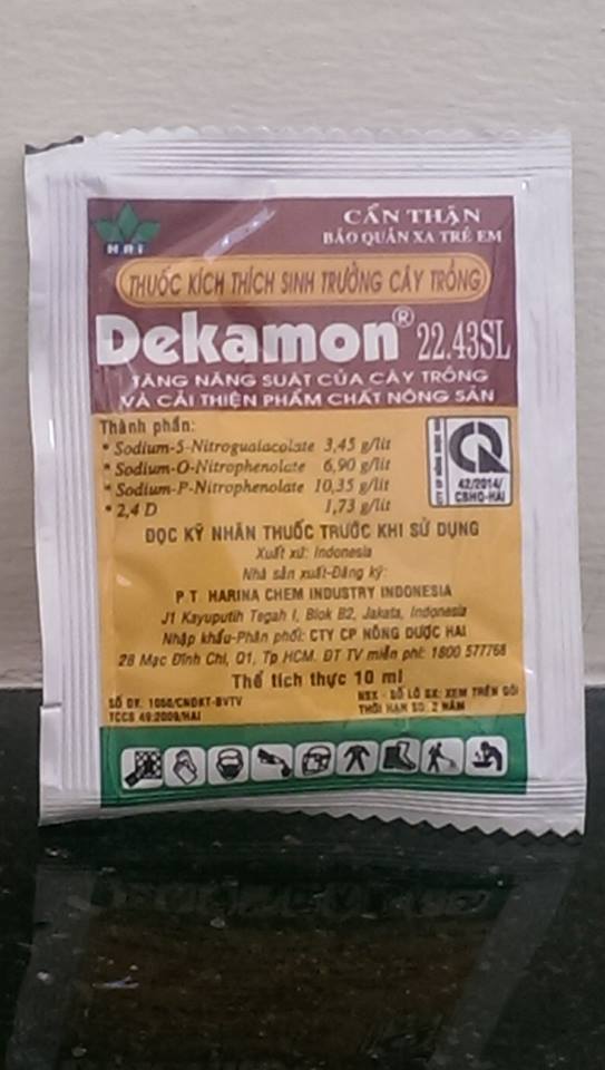 Dekamon